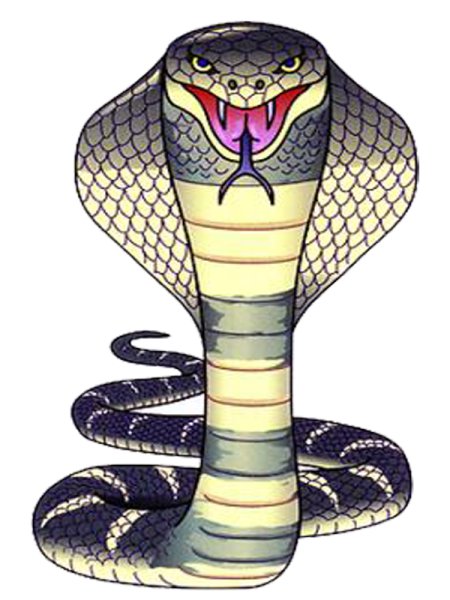 Змея раскраска