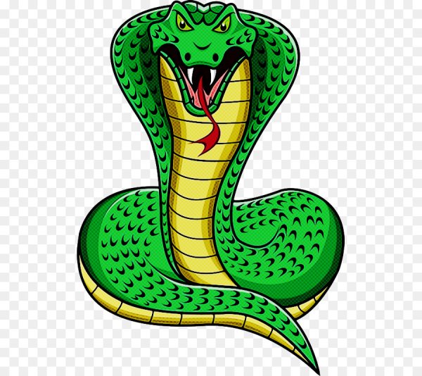 Золотая Королевская Кобра