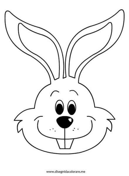 Мордашка зайца