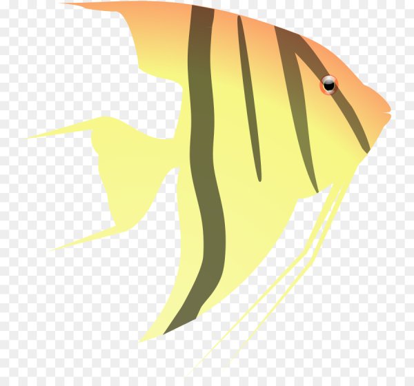 Рисунок рыбки скалярии