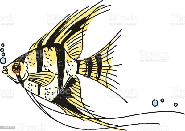 Скалярия рыбка для детей
