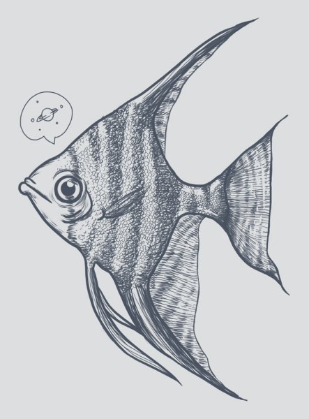 Скалярия карандашом