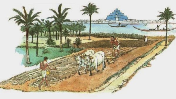 Ирригационная система древнего Египта
