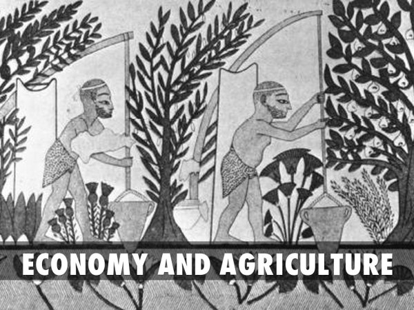 Ирригационное земледелие в древнем Египте