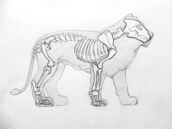 Скульптуры животных карандашом