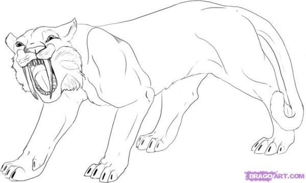 Лайны Саблезубого тигра