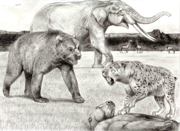 Ледниковый период 4 Шира и Диего