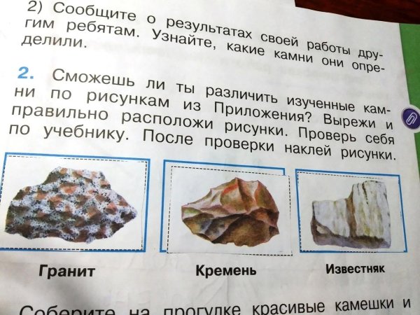 Don't Starve кремень