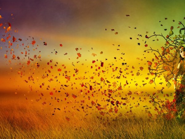 Осень ветер