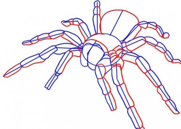 Акромантул из Гарри