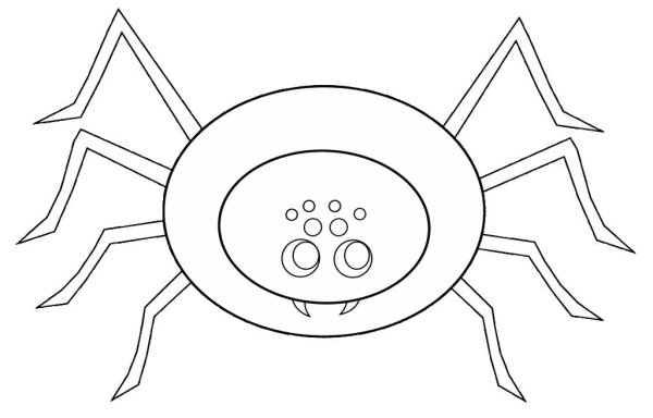 Букашки мультфильм паучок