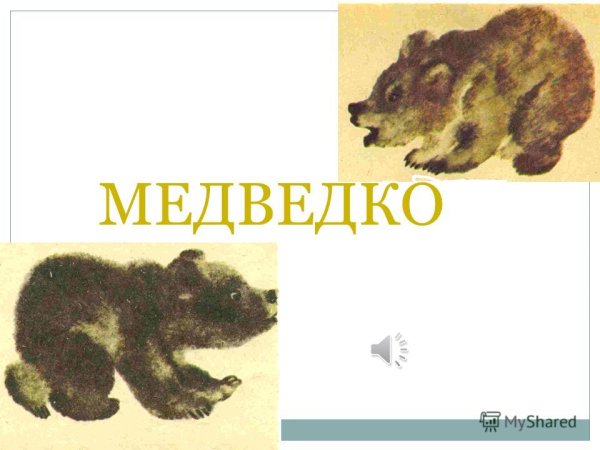 Книга Медведко мамин Сибиряк