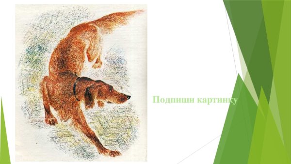 Книга Медведко мамин Сибиряк