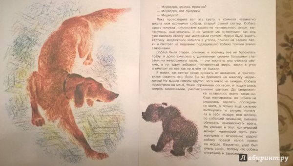 Медведко Дмитрий мамин-Сибиряк книга