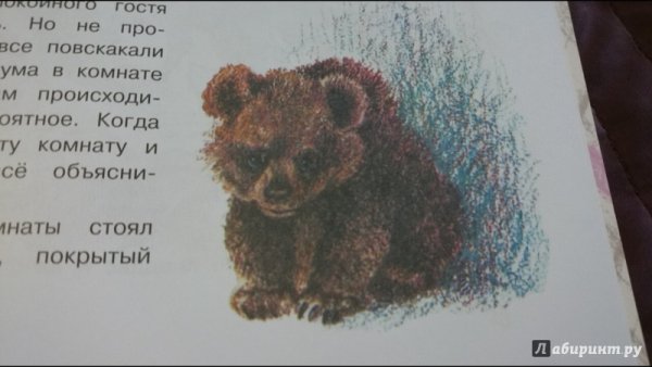 Медведко мамин Сибиряк рисунок