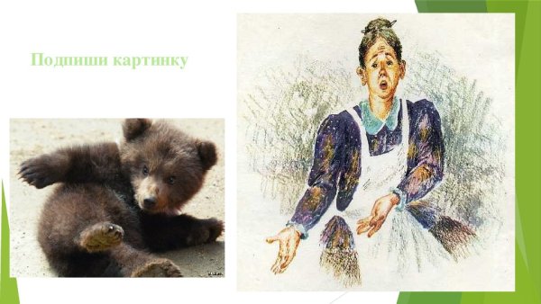 Медведко мамин Сибиряк иллюстрации