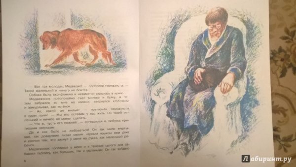 Медведко мамин Сибиряк иллюстрации