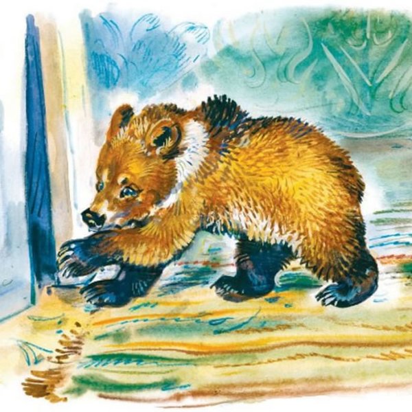 Е Чарушин медвежата