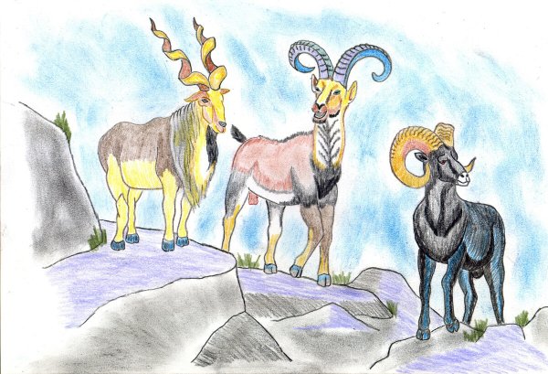Винторогий горный баран