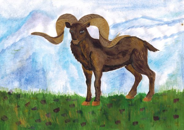 Живопись горный баран Архар