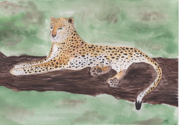 Леопард рисунок