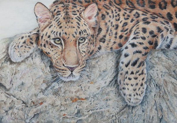 Мастер-класс по рисованию леопарда