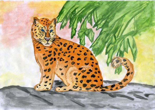 Леопард рисунок