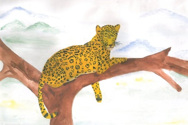 Детские рисунки леопарда