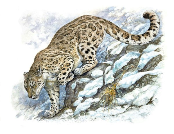 Художник Роберт Даллет