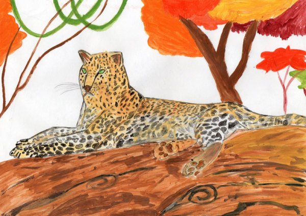 Нарисовать Амурский леопард Амурский