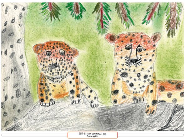 Дальневосточный Амурский леопард рисунок