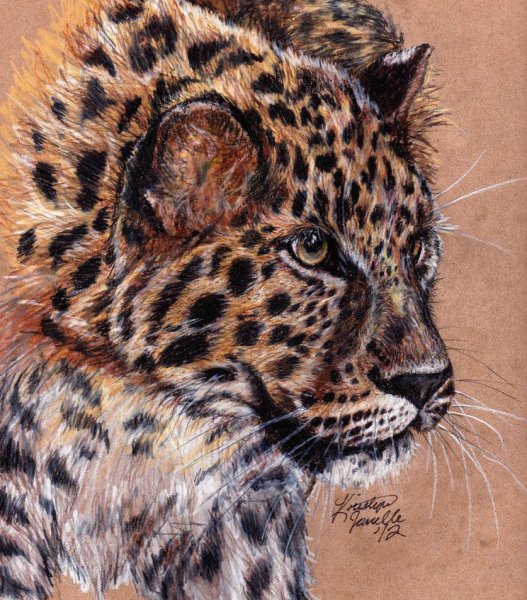 Разноцветный леопард