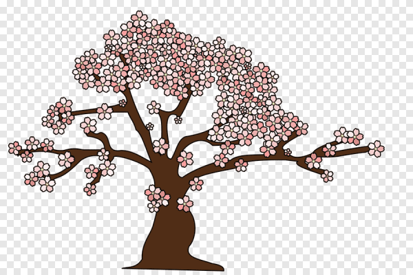 Сакура дерево вектор