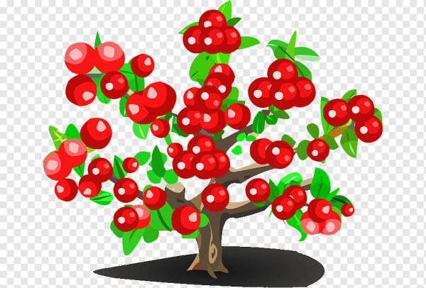 Дерево вишня для детей