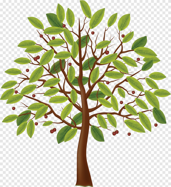 Дерево клипарт