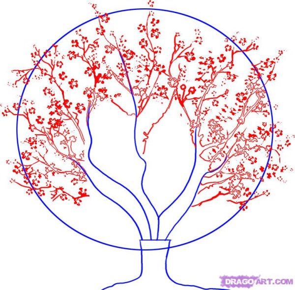 Сакура дерево рисунок карандашом