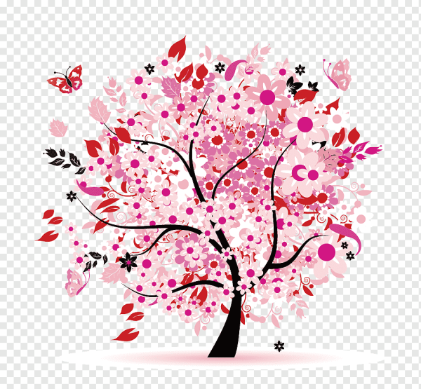 Сакура дерево