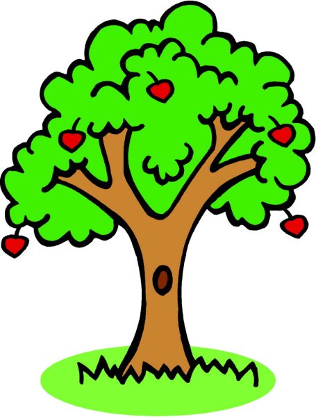 Черешневое дерево рисунок