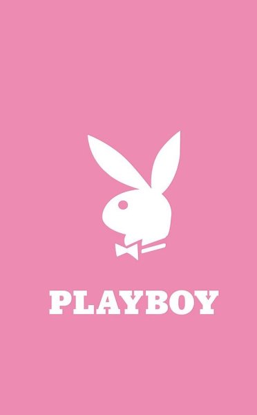 Плейбой фирма