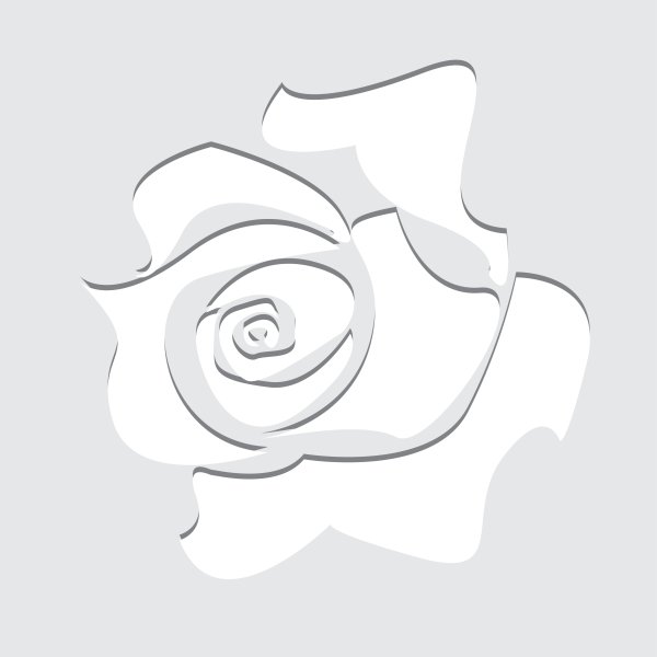 Нарисованные белые розы