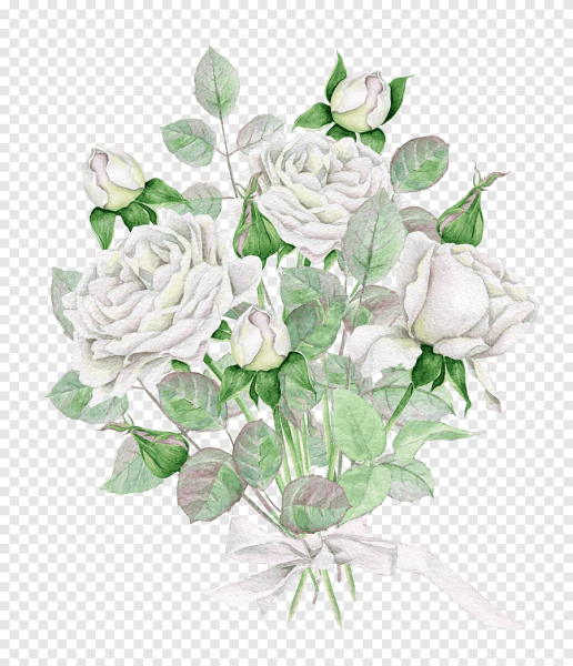 Акварельные белые цветы в букете