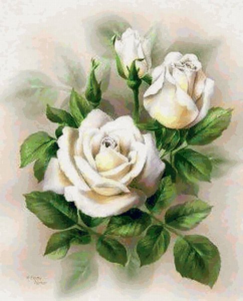 Белые розы для декупажа