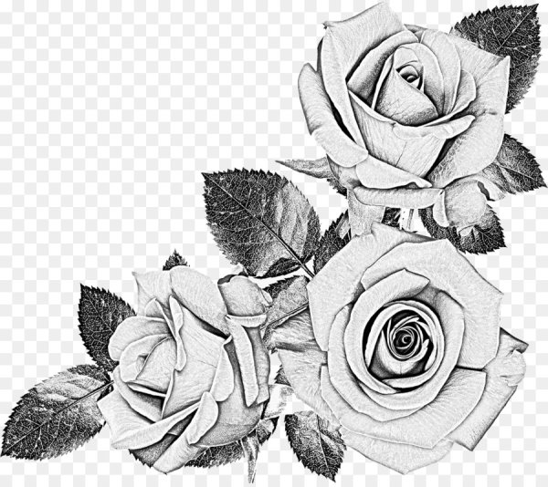 Черно-белый цветок