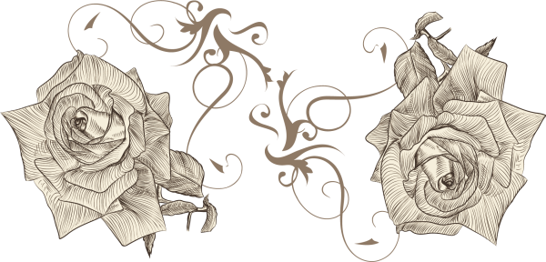 Две розы эскиз