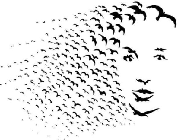 Силуэт иллюзия