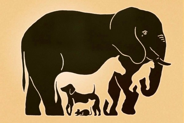 Оптические иллюзии животных