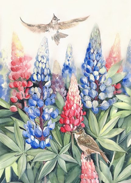 Люпин акварель цветок