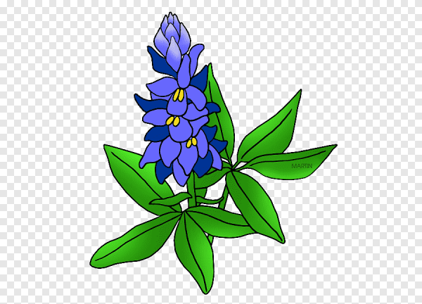 Стилизованные цветы Люпин