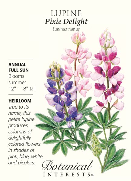 Люпин Дилайт