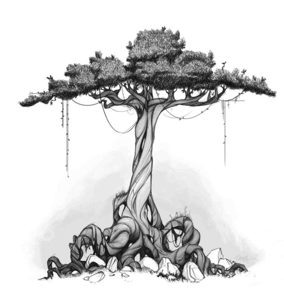 Странное дерево рисунок